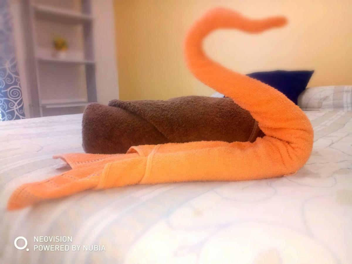 Apartamento Departamento 